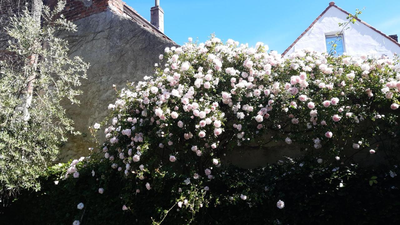 Artuur Bed and Breakfast Brujas Exterior foto